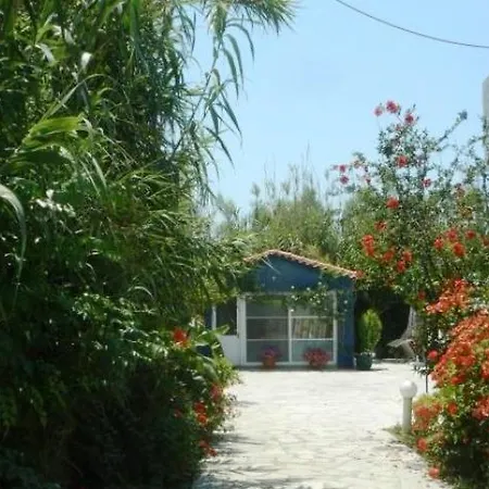 Apartment Silvi Mari *