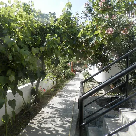 Apartment Silvi Mari *