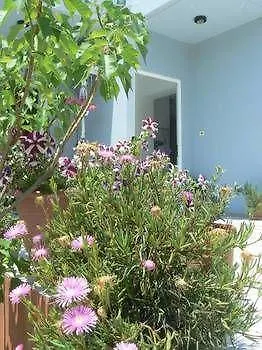 Silvi Mari Apartment *