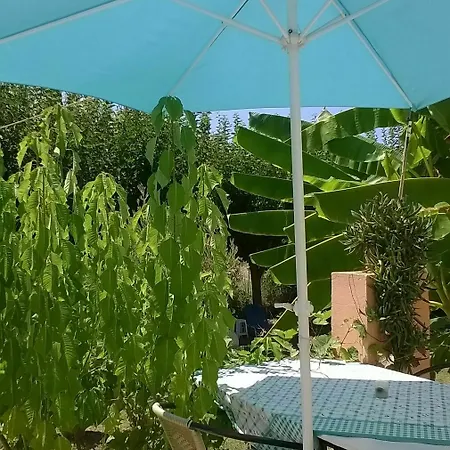 Silvi Mari Apartment *